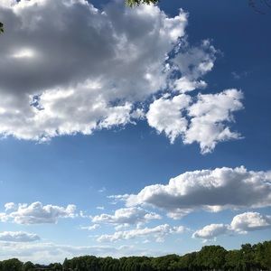 Meet your Posher, Lucy